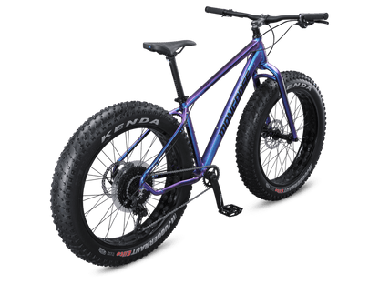 Argus Comp 26-Inch Fat-Tire Trail Bike