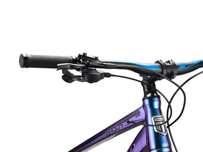 Argus Comp 26-Inch Fat-Tire Trail Bike