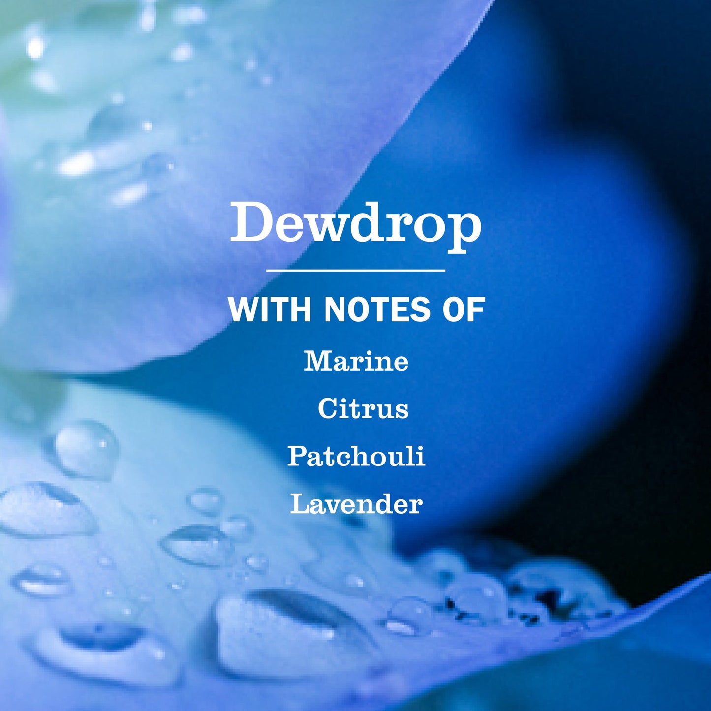 Mrs. Meyer's Dewdrop Home Care Collection
