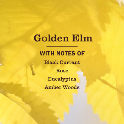 Mrs. Meyer's Golden Elm Garden-Scented Liquid Hand Soap