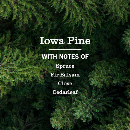 Mrs. Meyer's Iowa Pine 2-Pack Plug-In Scented Oil Refills