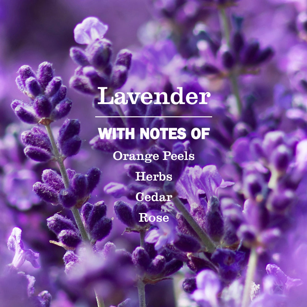Mrs. Meyer's Lavender 2-Pack Plug-In Scented Oil Refills