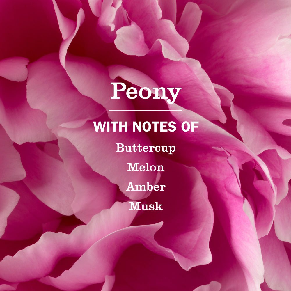 Mrs. Meyer's Peony Refill for Liquid Dish Soap
