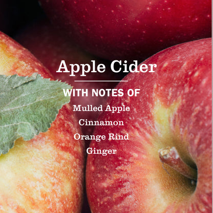Mrs. Meyer's Apple Cider Everyday Multi-Surface Cleaning Spray