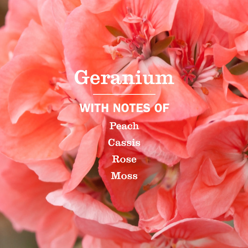 Mrs. Meyer's Geranium Everyday Multi-Surface Cleaning Spray