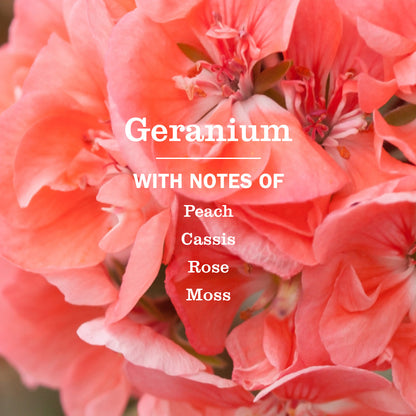 Mrs. Meyer's Geranium Concentrated Multi-Surface Cleaner