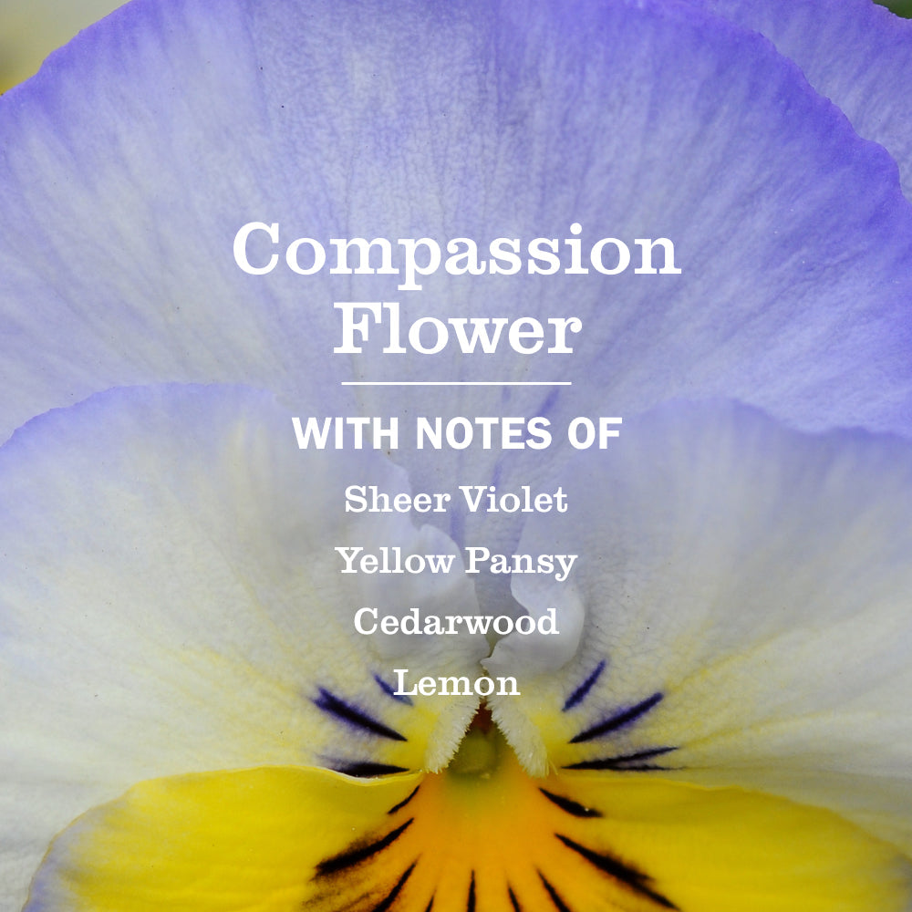 Mrs. Meyer's Compassion Flower Essential Kitchen Cleaning Set