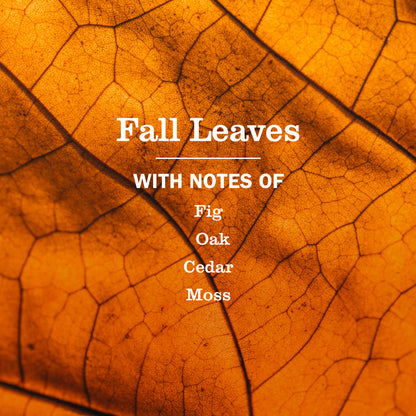 Mrs. Meyer's Fall Leaves Everyday Multi-Surface Cleaning Spray