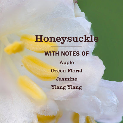 Mrs. Meyer's Honeysuckle Refill for Liquid Dish Soap