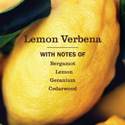 Mrs. Meyer's Lemon Verbena Refill for Liquid Hand Soap