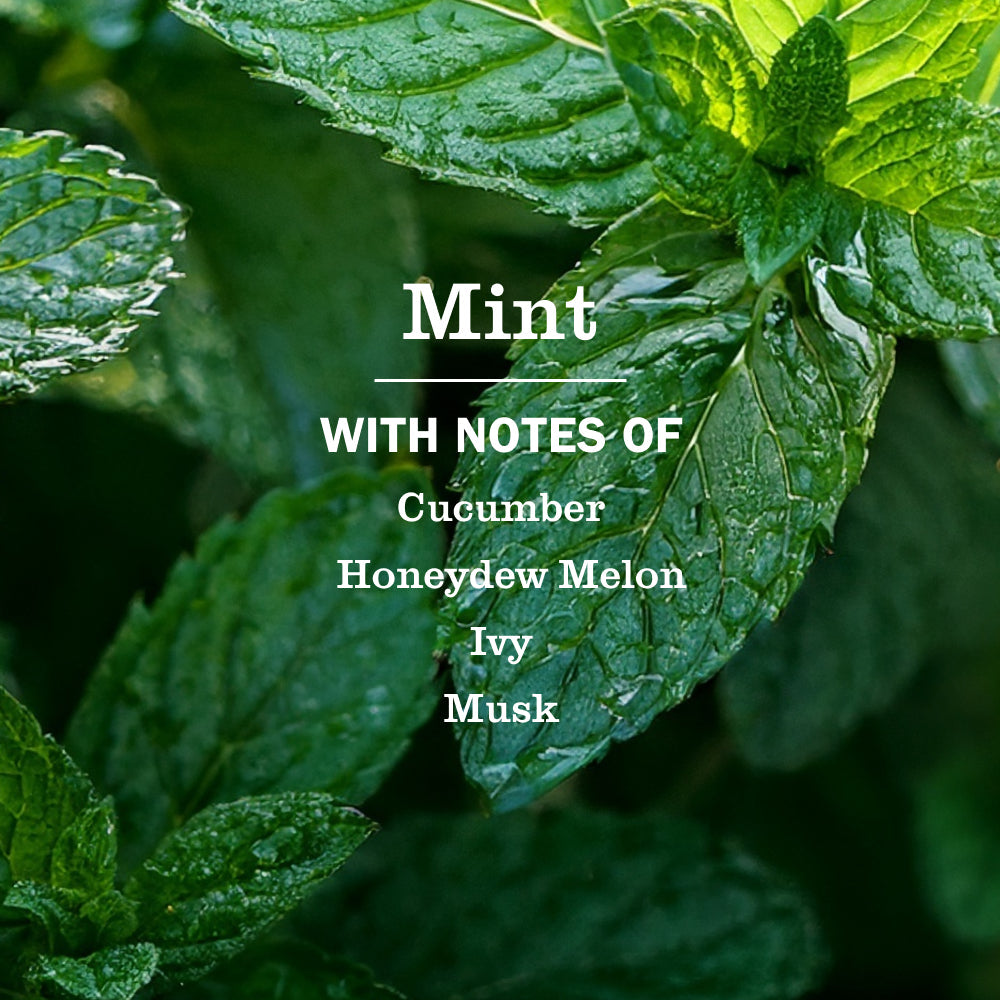 Mrs. Meyer's Mint Everyday Multi-Surface Cleaning Spray