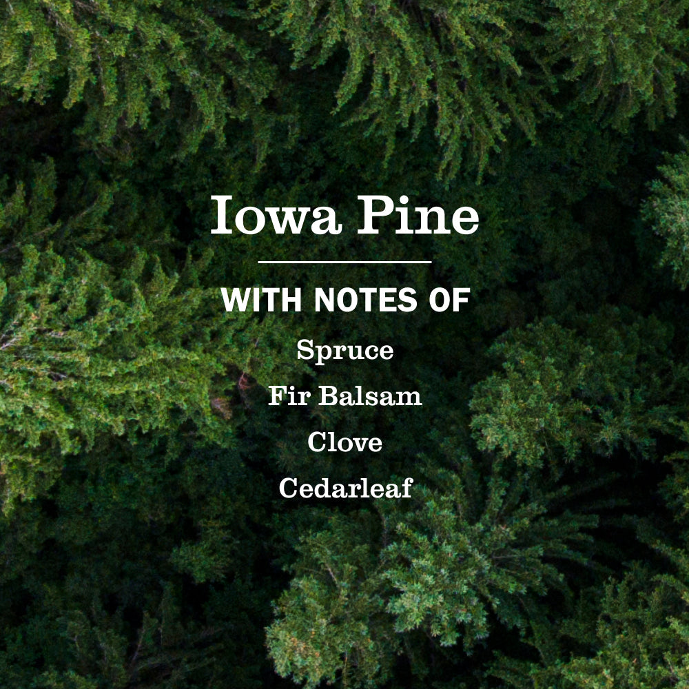 Mrs. Meyer's Iowa Pine Liquid Dish Soap