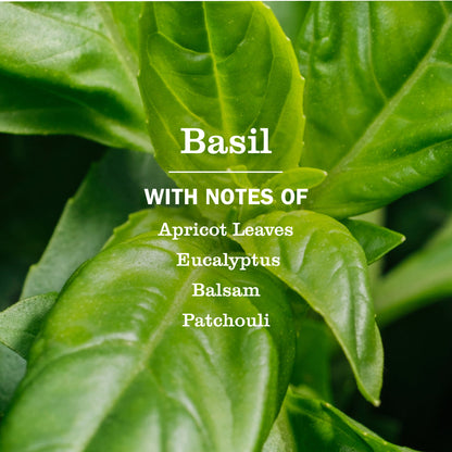 Mrs. Meyer's Basil Concentrated Multi-Surface Cleaner