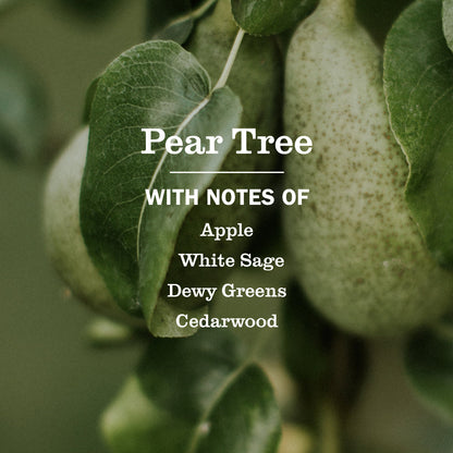 Mrs. Meyer's Pear Tree Garden-Scented Liquid Hand Soap