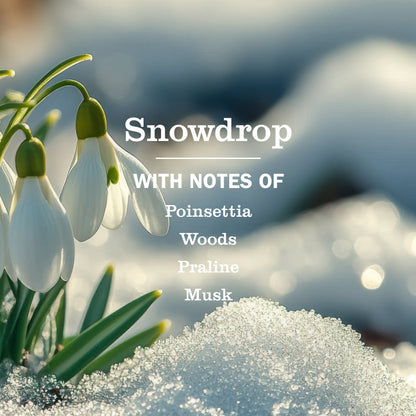 Mrs. Meyer's Snowdrop 3-Count Liquid Dish Soap Bundle