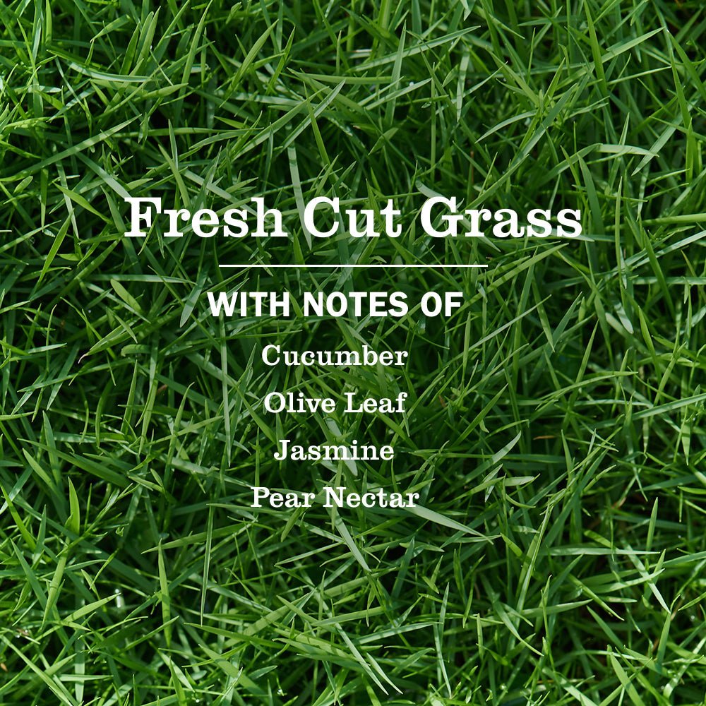 Mrs. Meyer's Fresh Cut Grass Everyday Multi-Surface Cleaning Spray