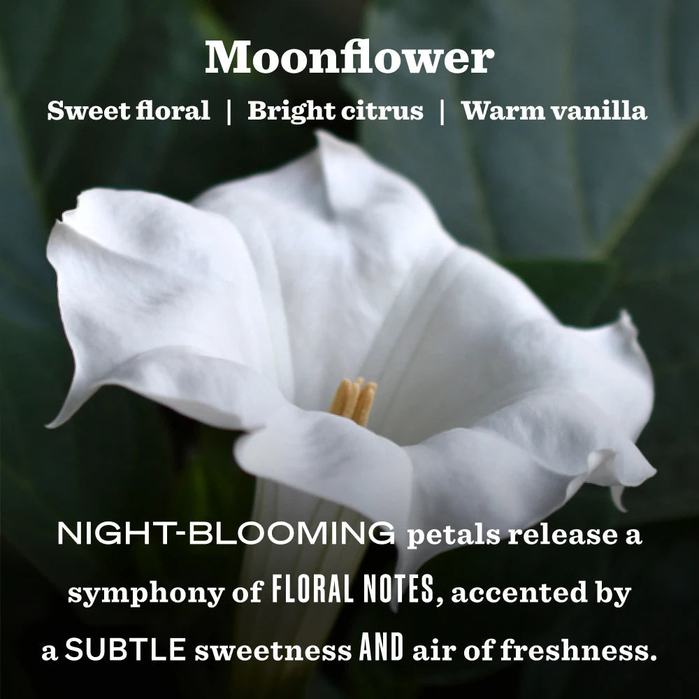 Mrs. Meyer's Moonflower Heirloom Garden-Scented Candle