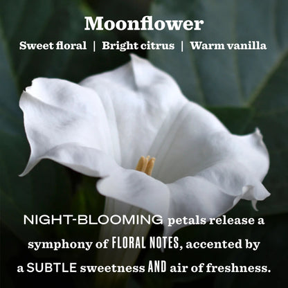Mrs. Meyer's Moonflower Heirloom Garden-Scented Candle