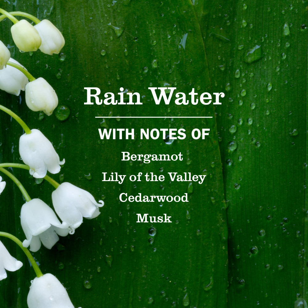 Mrs. Meyer's Rain Water Concentrated Multi-Surface Cleaner