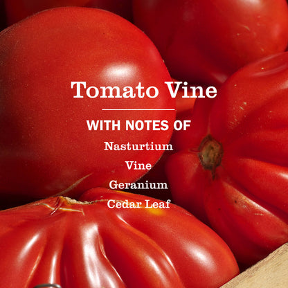 Mrs. Meyer's Tomato Vine Essential Kitchen Cleaning Set